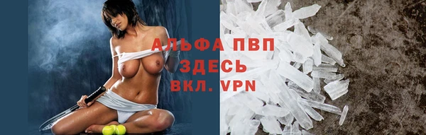 кокс Богородицк