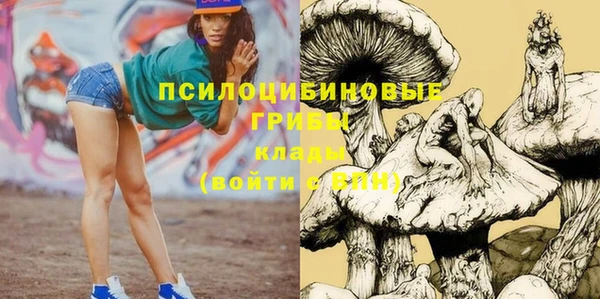МДПВ Богданович