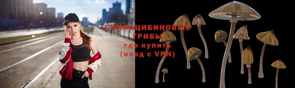 МДПВ Богданович