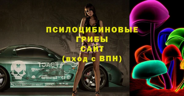 кокс Богородицк