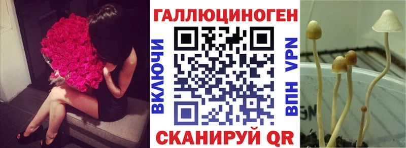 Галлюциногенные грибы прущие грибы  Старица 